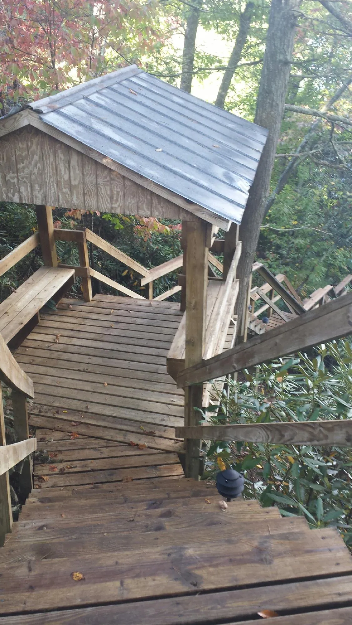 Metal roofed shelter over wooden steps on a wooded walkway — Skylight Repair & Installation work by our crew in Bohannon
